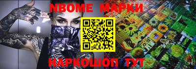 гидра Гатчина