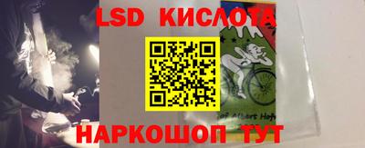 гидра Гатчина