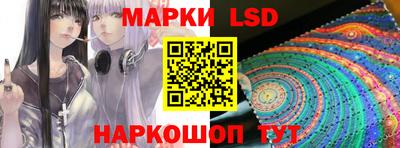 гидра Гатчина