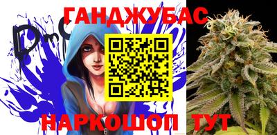 гидра Гатчина