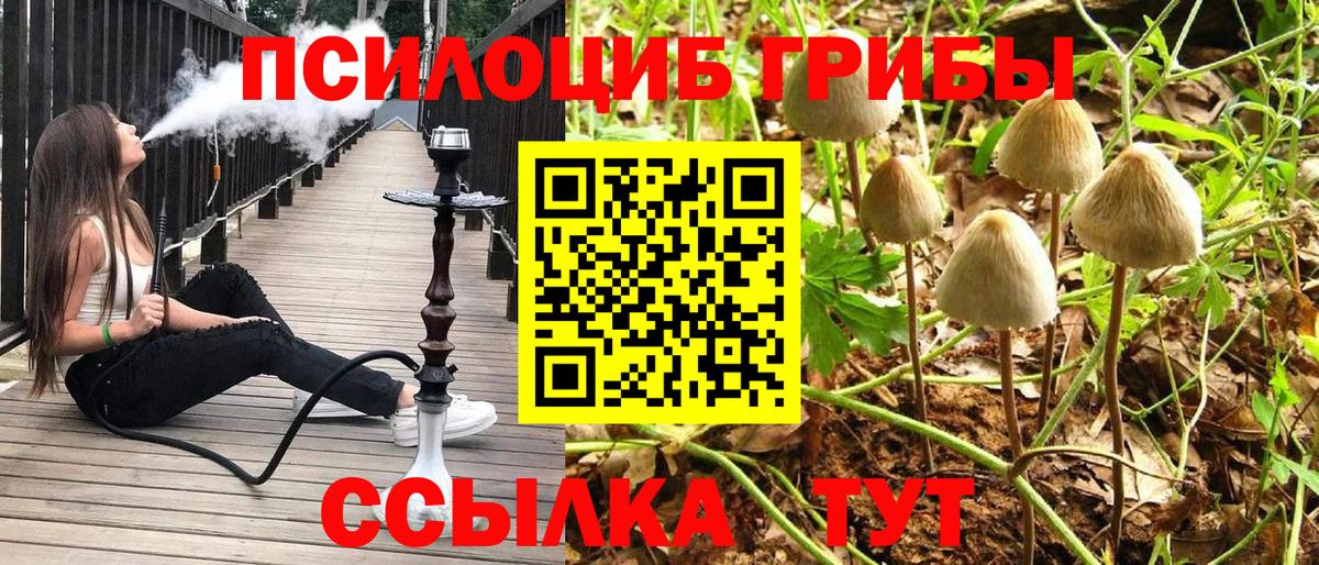 Псилоцибиновые грибы GOLDEN TEACHER  Вход с VPN  Набережные Челны 